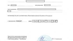 Как оформить СНИЛС и ИНН новорожденному в Экспедиция