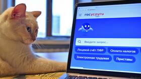 Как оформить выписку из ЕГРН через Госуслуги в Экспедиция