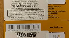 Как проверить SIM-карту Билайн в Экспедиция