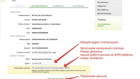 Назначение платежа: что указывать при переводе денег в Экспедиция