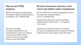Почему самозанятым не начисляется налог в Экспедиция