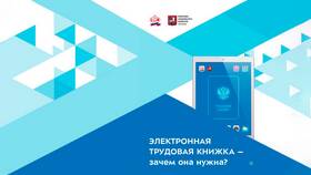 Выписка из ПФР: как получить и зачем она нужна в Экспедиция