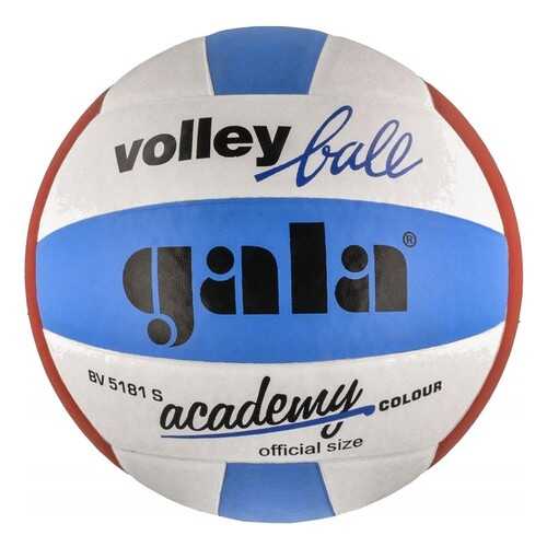 Волейбольный мяч Gala Academy №5 blue/white/red в Экспедиция