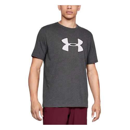 Футболка Under Armour Big Logo Graphic SS, 019 серая, SM в Экспедиция