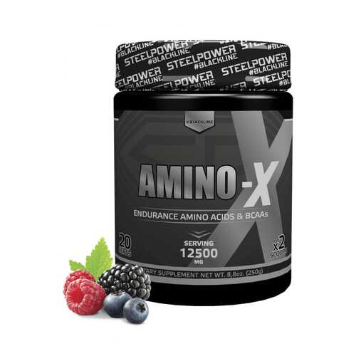 Аминокислотный комплекс AMINO-X, вкус «Лесные ягоды», 250 гр, STEELPOWER в Экспедиция