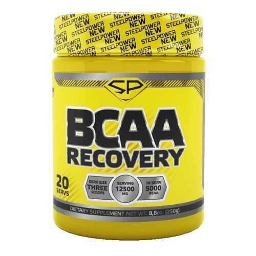 Steel Power Nutrition BCAA Recovery X 250 г кола/ваниль в Экспедиция