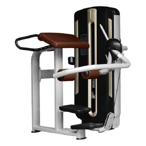 Ягодичные мышцы BRONZE GYM MZM-016A в Экспедиция