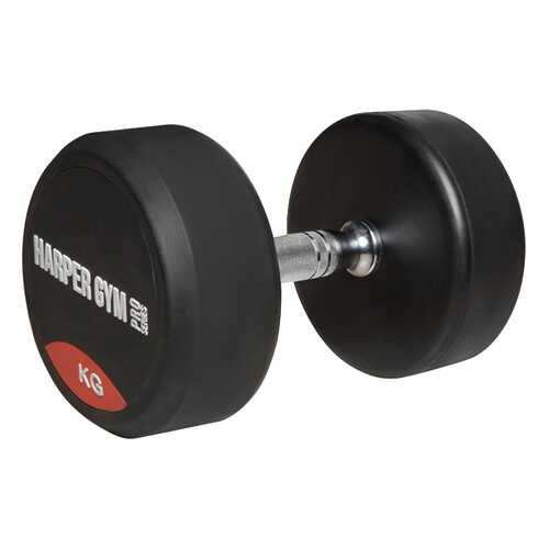 Гантель обрезиненная Harper Gym NT150E 18 кг в Экспедиция
